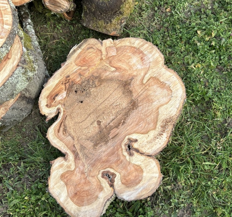 72786865729__75FBF96A-BCC3-4810-8995-46A042DBC512